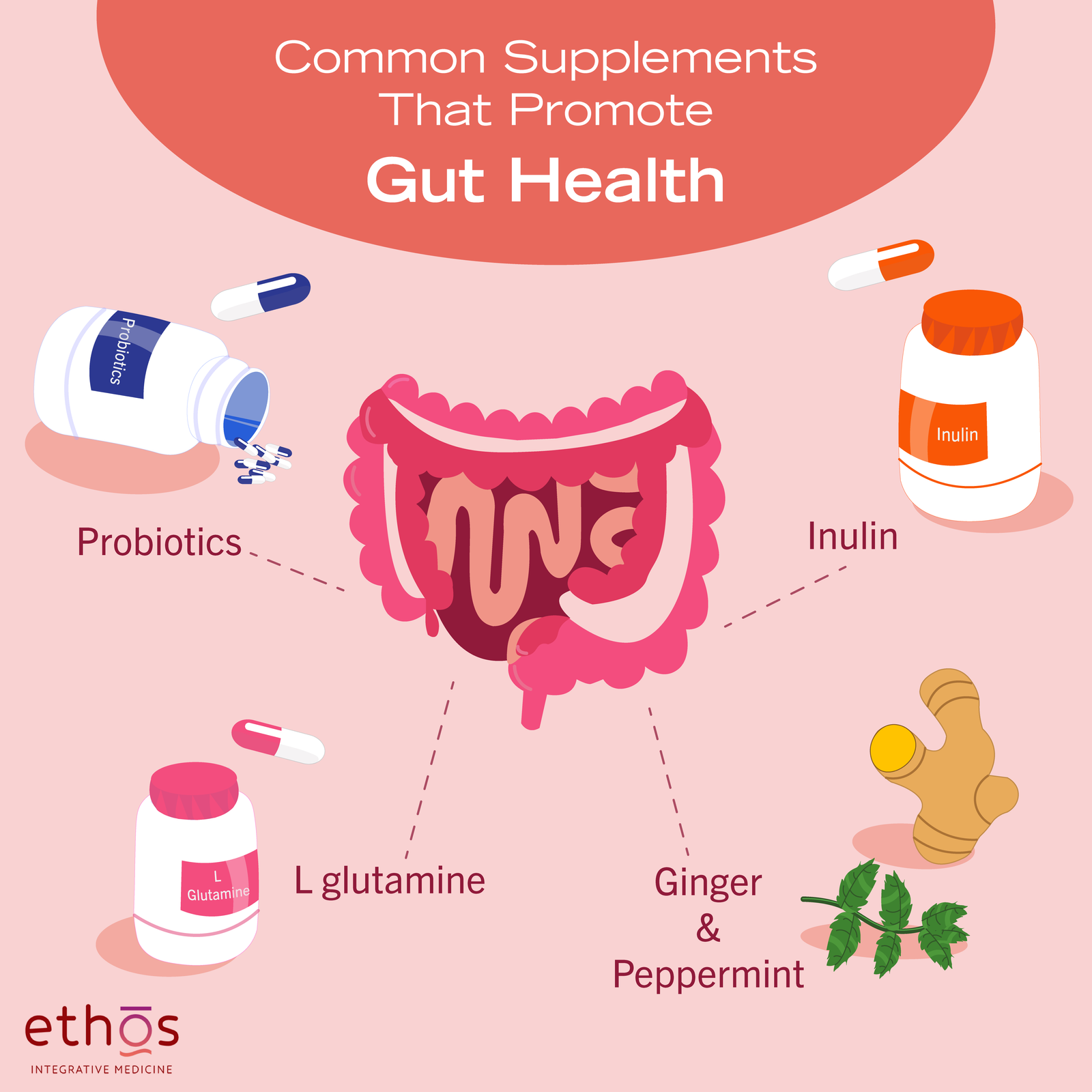 Must-Have Vitamins for Optimal Gut Health